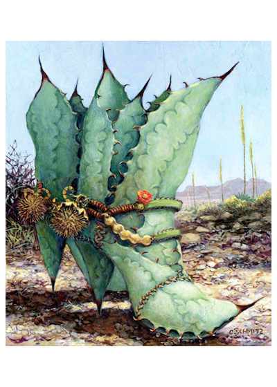 Agave Country